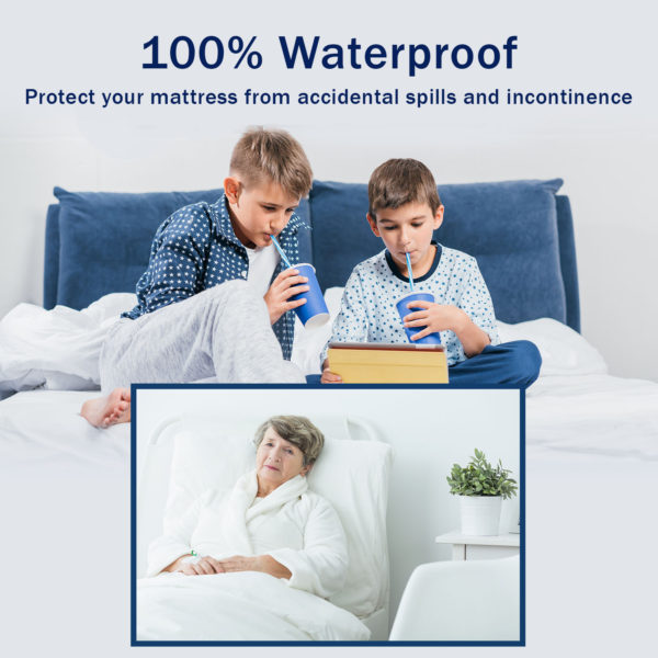 CleanRest Pro Allergy Blocking Mattress Cover
