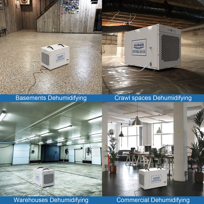 Alorair Sentinel HDi100 Crawl Space Dehumidifier with Pump 220 Pints/ Day