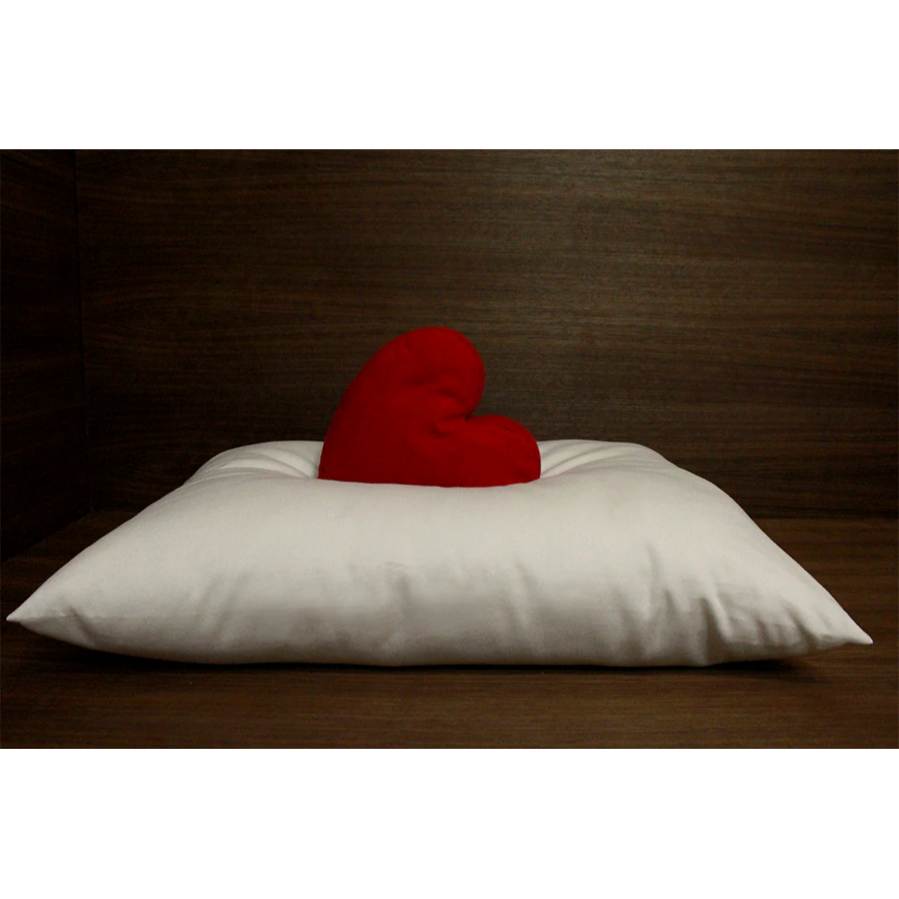 Soaring Heart Organic Wool Pillow