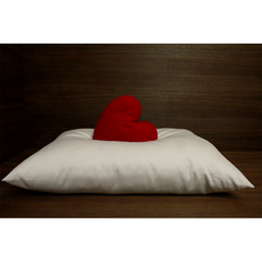 Soaring Heart Organic Wool Pillow
