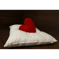 Soaring Heart Organic Wool Pillow