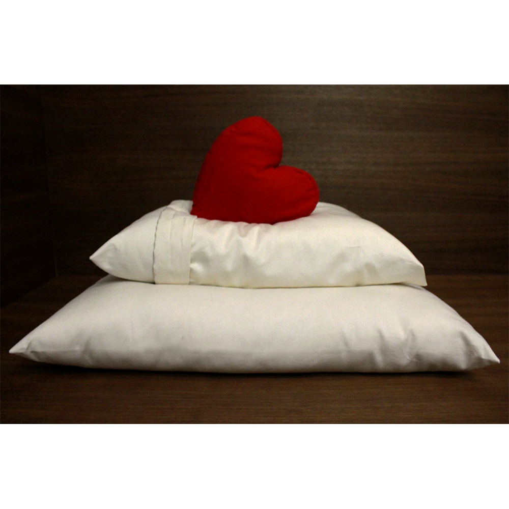 Soaring Heart Organic Wool Pillow