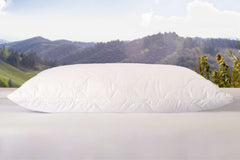 Sleep & Beyond myLatex® Pillow