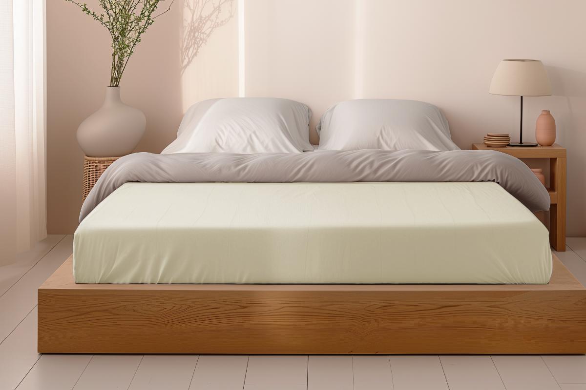 Sleep & Beyond Organic Cotton Waterproof Mattress Protector