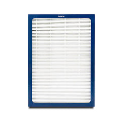 Blueair 500 and 600 Series DualProtection Filter
