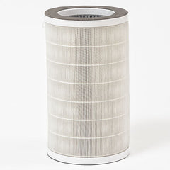 QuietPure Home Replacement Combo HEPA Filter Cartridge